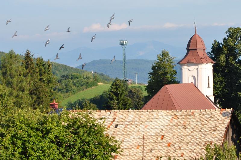 pepajs.cz